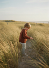 Load image into Gallery viewer, Chunky Knit Baby Jumper – Rust
