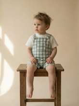 Load image into Gallery viewer, Child sitting on stool wearing green gingham dungaree set with embroidered skateboarding dog t-shirt
